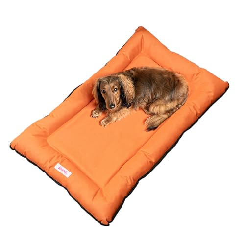 THE LICKER STORE DBD3004B-XL Archie Haustierbett, traditionelles Oxford-Gewebe, wasserdicht, für drinnen und draußen, handwaschbar, Memory-Schaum, Camping, 116,8 x 105,4 cm, Mandarine THE LICKER STORE DBD3004B-XL Archie Haustierbett, traditionelles Oxford-Gewebe, wasserdicht, für drinnen und draußen, handwaschbar, Memory-Schaum, Camping, 116,8 x 105,4 cm, Mandarine von THE LICKER STORE