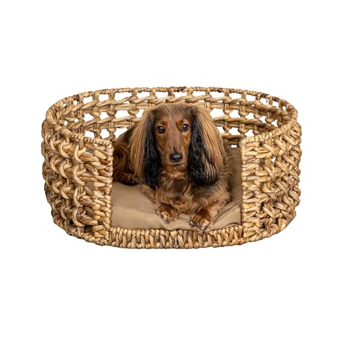 THE LICKER STORE DBD4000A Gigi Haustierbett, modern, böhmisch, handgewebt, Hyazinthe, offenes Gewebe, oval, mit maschinenwaschbarem Kissen, 61 x 45,7 cm, Natur THE LICKER STORE DBD4000A Gigi Haustierbett, modern, böhmisch, handgewebt, Hyazinthe, offenes Gewebe, oval, mit maschinenwaschbarem Kissen, 61 x 45,7 cm, Natur von THE LICKER STORE
