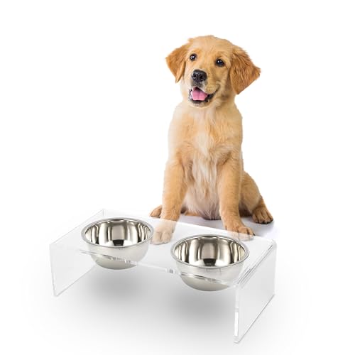 THE LICKER STORE DBL2000A Keaton Lucite-Futterstation für Haustiere, rechteckig, erhöht, 12,7 cm, klein, mittelgroß, mit 2 Edelstahlnäpfen, transparent/chrom von THE LICKER STORE