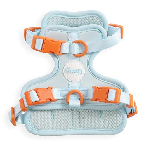 THE LICKER STORE HNS1000D Arlo Hundegeschirr, extra klein, verstellbar, weich gepolstert, kein Ziehen, mit 3 Schnallen und 3 Leinenclips, Fischglas THE LICKER STORE HNS1000D Arlo Hundegeschirr, extra klein, verstellbar, weich gepolstert, kein Ziehen, mit 3 Schnallen und 3 Leinenclips, Fischglas von THE LICKER STORE