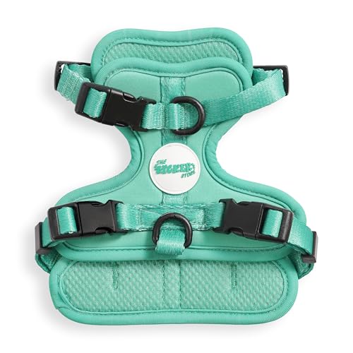 THE LICKER STORE HNS1000K Arlo Hundegeschirr, verstellbar, weich gepolstert, kein Ziehen, mit 3 Schnallen und 3 Leinenclips, Größe XS, Julep THE LICKER STORE HNS1000K Arlo Hundegeschirr, verstellbar, weich gepolstert, kein Ziehen, mit 3 Schnallen und 3 Leinenclips, Größe XS, Julep von THE LICKER STORE