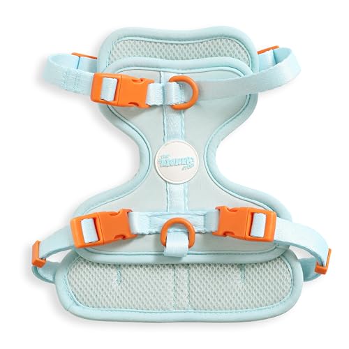 THE LICKER STORE HNS1001D Arlo Hundegeschirr, klein, verstellbar, weich gepolstert, kein Ziehen, mit 3 Schnallen und 3 Leinenclips, Fischglas THE LICKER STORE HNS1001D Arlo Hundegeschirr, klein, verstellbar, weich gepolstert, kein Ziehen, mit 3 Schnallen und 3 Leinenclips, Fischglas von THE LICKER STORE
