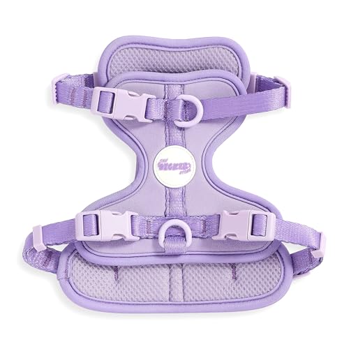 THE LICKER STORE HNS1001H Arlo Hundegeschirr, klein, verstellbar, weich gepolstert, kein Ziehen, mit 3 Schnallen und 3 Leinenclips, Bramble THE LICKER STORE HNS1001H Arlo Hundegeschirr, klein, verstellbar, weich gepolstert, kein Ziehen, mit 3 Schnallen und 3 Leinenclips, Bramble von THE LICKER STORE