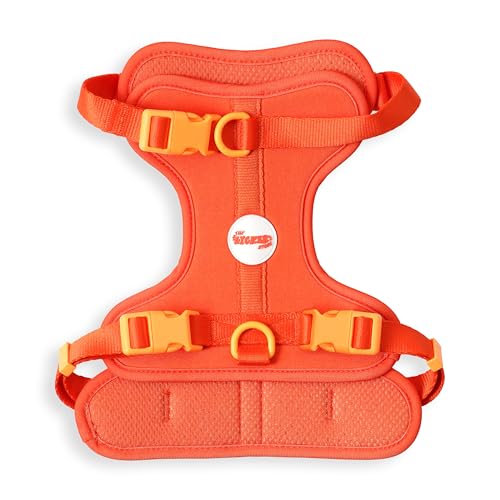 THE LICKER STORE HNS1002A Arlo Hundegeschirr, verstellbar, weich gepolstert, kein Ziehen, mit 3 Schnallen und 3 Leinenclips, Größe M, Aperol THE LICKER STORE HNS1002A Arlo Hundegeschirr, verstellbar, weich gepolstert, kein Ziehen, mit 3 Schnallen und 3 Leinenclips, Größe M, Aperol von THE LICKER STORE