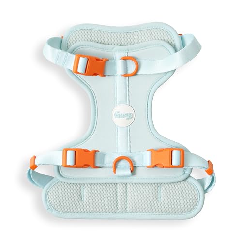 THE LICKER STORE HNS1002D Arlo Hundegeschirr, verstellbar, weich gepolstert, kein Ziehen, mit 3 Schnallen und 3 Leinenclips, Fischglas THE LICKER STORE HNS1002D Arlo Hundegeschirr, verstellbar, weich gepolstert, kein Ziehen, mit 3 Schnallen und 3 Leinenclips, Fischglas von THE LICKER STORE