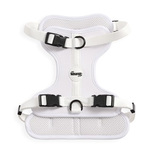 THE LICKER STORE HNS1002F Arlo Hundegeschirr, verstellbar, weich gepolstert, kein Ziehen, mit 3 Schnallen und 3 Leinenclips, Größe M, Seltzer THE LICKER STORE HNS1002F Arlo Hundegeschirr, verstellbar, weich gepolstert, kein Ziehen, mit 3 Schnallen und 3 Leinenclips, Größe M, Seltzer von THE LICKER STORE