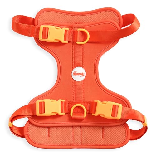 THE LICKER STORE HNS1003A Arlo Hundegeschirr, verstellbar, weich gepolstert, kein Ziehen, mit 3 Schnallen und 3 Leinenclips, Aperol THE LICKER STORE HNS1003A Arlo Hundegeschirr, verstellbar, weich gepolstert, kein Ziehen, mit 3 Schnallen und 3 Leinenclips, Aperol von THE LICKER STORE