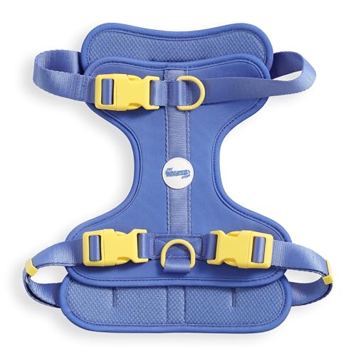 THE LICKER STORE HNS1003C Arlo Hundegeschirr, verstellbar, weich gepolstert, kein Ziehen, mit 3 Schnallen und 3 Leinenclips, Curaçao THE LICKER STORE HNS1003C Arlo Hundegeschirr, verstellbar, weich gepolstert, kein Ziehen, mit 3 Schnallen und 3 Leinenclips, Curaçao von THE LICKER STORE