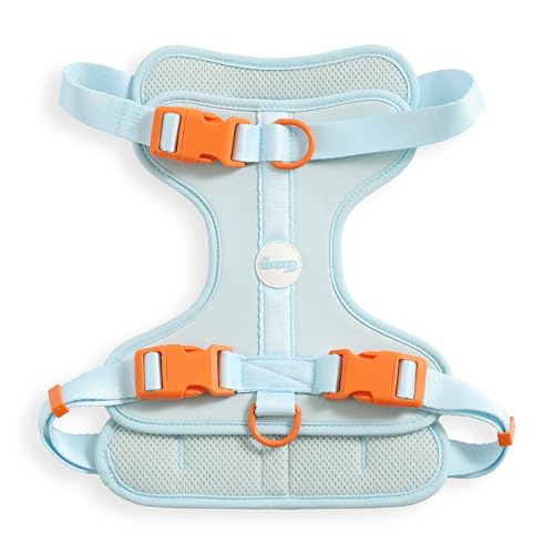 THE LICKER STORE HNS1003D Arlo Hundegeschirr, verstellbar, weich gepolstert, kein Ziehen, mit 3 Schnallen und 3 Leinenclips, Fischglas THE LICKER STORE HNS1003D Arlo Hundegeschirr, verstellbar, weich gepolstert, kein Ziehen, mit 3 Schnallen und 3 Leinenclips, Fischglas von THE LICKER STORE