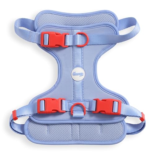 THE LICKER STORE HNS1003E Arlo Hundegeschirr, verstellbar, weich gepolstert, kein Ziehen, mit 3 Schnallen und 3 Leinenclips, Sangria THE LICKER STORE HNS1003E Arlo Hundegeschirr, verstellbar, weich gepolstert, kein Ziehen, mit 3 Schnallen und 3 Leinenclips, Sangria von THE LICKER STORE