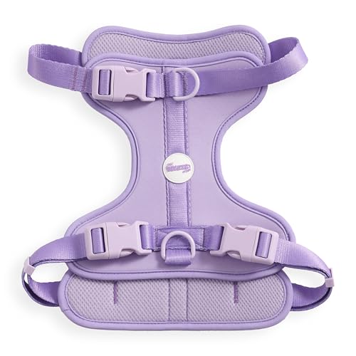 THE LICKER STORE HNS1003H Arlo Hundegeschirr, verstellbar, weich gepolstert, kein Ziehen, mit 3 Schnallen und 3 Leinenclips, Bramble THE LICKER STORE HNS1003H Arlo Hundegeschirr, verstellbar, weich gepolstert, kein Ziehen, mit 3 Schnallen und 3 Leinenclips, Bramble von THE LICKER STORE