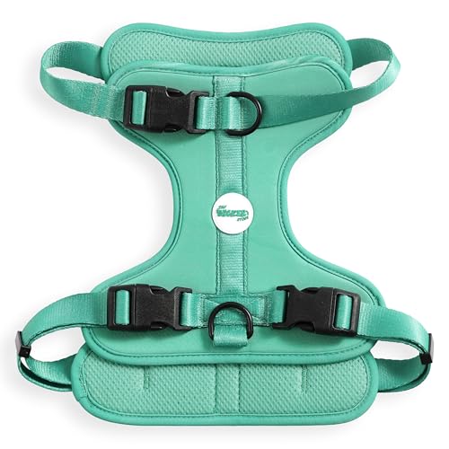 THE LICKER STORE HNS1003K Arlo Hundegeschirr, verstellbar, weich gepolstert, kein Ziehen, mit 3 Schnallen und 3 Leinenclips, Julep THE LICKER STORE HNS1003K Arlo Hundegeschirr, verstellbar, weich gepolstert, kein Ziehen, mit 3 Schnallen und 3 Leinenclips, Julep von THE LICKER STORE