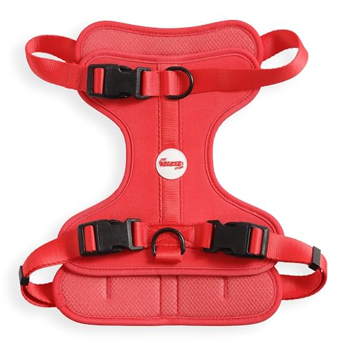 THE LICKER STORE HNS1003M Arlo Hundegeschirr, verstellbar, weich gepolstert, kein Ziehen, mit 3 Schnallen und 3 Leinenclips, Shirley THE LICKER STORE HNS1003M Arlo Hundegeschirr, verstellbar, weich gepolstert, kein Ziehen, mit 3 Schnallen und 3 Leinenclips, Shirley von THE LICKER STORE