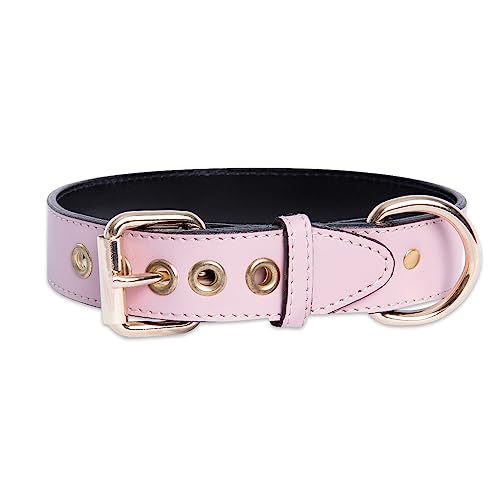 Hundehalsband Leder Hundehalsband Leder Hundehalsband Metall Zubehör Handmade (XXS (19-22cm), Rosa) von THE NOTCH