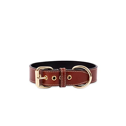 Hundehalsband. Hundehalsband aus Leder. Lederhalsband für Hunde Metallic-Accessoires. Handgefertigt. (L (37-43'5cm), Braun) von THE NOTCH