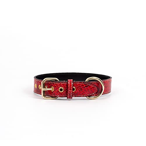 Hundehalsband. Hundehalsband aus Leder. Lederhalsband für Hunde Metallic-Accessoires. Handgefertigt. (L (37-43'5cm), Rot krokodil) von THE NOTCH