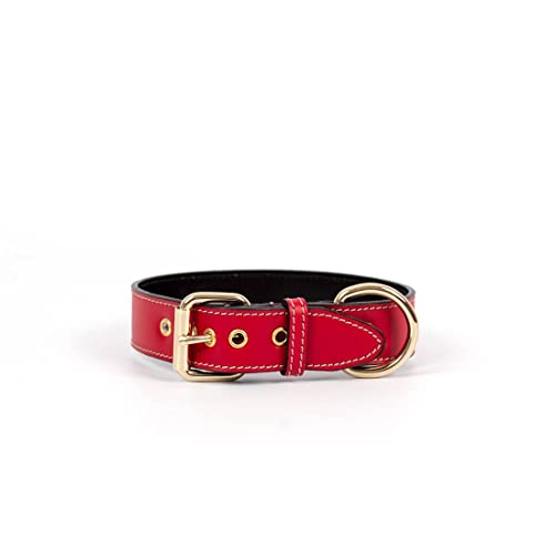 Hundehalsband. Hundehalsband aus Leder. Lederhalsband für Hunde Metallic-Accessoires. Handgefertigt. (S (25'5-31'5cm), Rot) von THE NOTCH