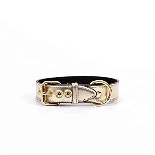 Hundehalsband. Hundehalsband aus Leder. Lederhalsband für Hunde Metallic-Accessoires. Handgefertigt. (XS (21'5-25cm), Golden) von THE NOTCH