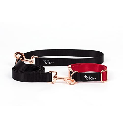Hundeleine und Halsband Set Hundeleine Modulare Hundeleine Hundehalsband Recyceltes Polyester Zubehör Metall Handgefertigt (Halsband L (34-56cm), Rot-N) von THE NOTCH
