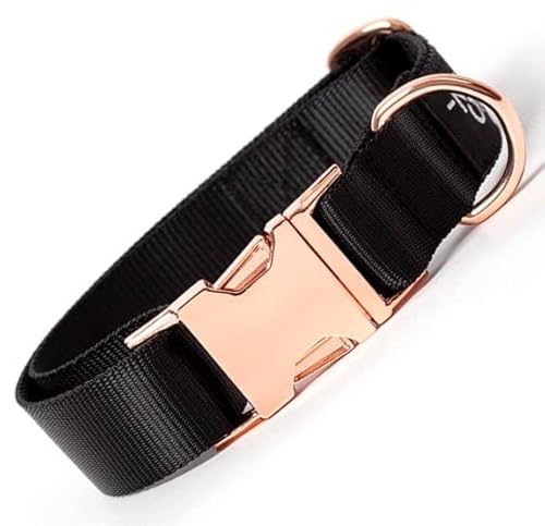 THE NOTCH Neu, recyceltes Polyester, Hundehalsband, Halsband aus recyceltem Polyester, Hundehalsband mit Metallzubehör, handgefertigt, L (34-56 cm), Schwarz von THE NOTCH