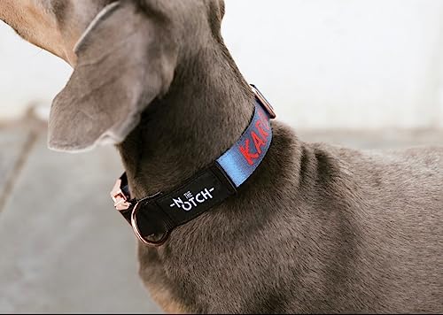 Neu. Personalisierbares Hundehalsband Hundehalsband Recyceltes Polyester Hundehalsband Hundehalsband mit Metallbeschlägen Handmade (M (30-46cm), Blau-Schwarz) von THE NOTCH