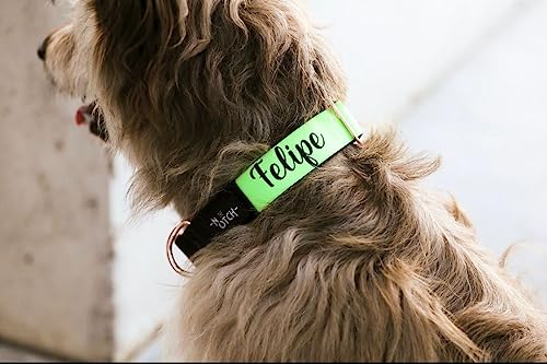 Neu. Personalisierbares Hundehalsband Hundehalsband Recyceltes Polyester Hundehalsband Hundehalsband mit Metallbeschlägen Handmade (M (30-46cm), Fluor) von THE NOTCH