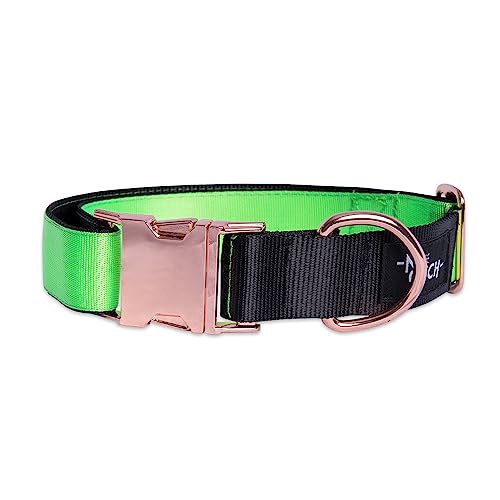 Neu. Recyceltes Polyester Hundehalsband Recyceltes Polyester Hundehalsband Hundehalsband mit Metallbeschlägen Handmade (M (30-46cm), Roulette) von THE NOTCH