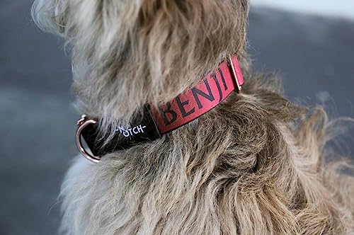 Recyceltes Polyester-Hundehalsband, recyceltes Polyester-Halsband für Hunde, Hundehalsband mit Metallzubehör, handgefertigt, L (34-56 cm), Rot-N) von THE NOTCH