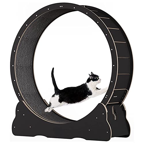 THERES Katzenübungsrad im Innenbereich, Katzen -Laufband mit Verriegelungsmechanismus, TPE räuschloser Roller, Katzenlaufrad für Tierverlustgewicht und tägliche Übungsaktivität,Black-M THERES Katzenübungsrad im Innenbereich, Katzen -Laufband mit Verriegelungsmechanismus, TPE räuschloser Roller, Katzenlaufrad für Tierverlustgewicht und tägliche Übungsaktivität,Black-M von THERES