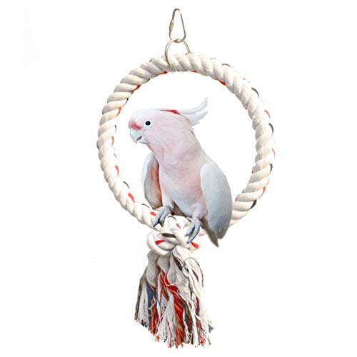 Haustier Papagei Vögel Käfig Spielzeug Wattestäte Kreis Ringständer Kautbiss Hängen Schwung Cockatiel para Klettern Für Spielspielzeug Haustier Papagei Vögel Käfig Spielzeug Wattestäte Kreis Ringständer Kautbiss Hängen Schwung Cockatiel para Klettern Für Spielspielzeug von THINCAN