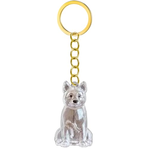 Pet Memorial Schlüsselbund Leichtgewichtet Zum Tragen Von Hunde Haar Erinnerung In Clear Case Box Hund Remembrance Gift Ashes Behälter Emotionaler Verlust Komfort Klares Haar von THINCAN