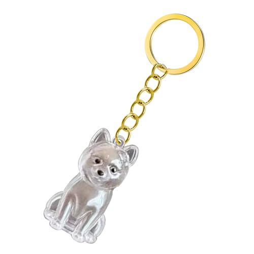 Pet Memorial Schlüsselbund Leichtgewichtet Zum Tragen Von Hunde Haar Erinnerung In Clear Case Box Hund Remembrance Gift Ashes Behälter Emotionaler Verlust Komfort Klares Haar von THINCAN