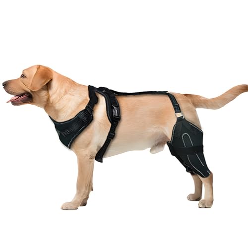 THINCAN Hunde Ellbogenklammer Wrap Für Verletztes Glied Fördert Komfortbein Stütze Wrap Bein Wickel Gelenkschutz Hundärmel THINCAN Hunde Ellbogenklammer Wrap Für Verletztes Glied Fördert Komfortbein Stütze Wrap Bein Wickel Gelenkschutz Hundärmel von THINCAN
