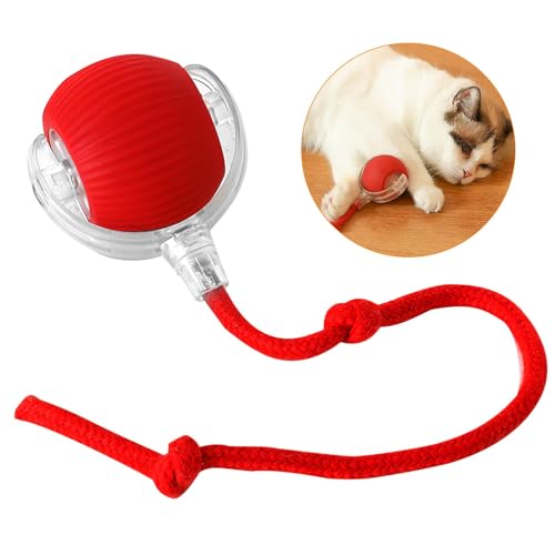 Interaktiver Hundeball, selbstbeweglich, aktiver Rollball mit Schwanz für Hunde, elektrisch, automatisch, für Hunde, Katzenspielzeug, Chewie-Hundeball, wiederaufladbar, Haustierspielzeug für Katzen Interaktiver Hundeball, selbstbeweglich, aktiver Rollball mit Schwanz für Hunde, elektrisch, automatisch, für Hunde, Katzenspielzeug, Chewie-Hundeball, wiederaufladbar, Haustierspielzeug für Katzen von THKO