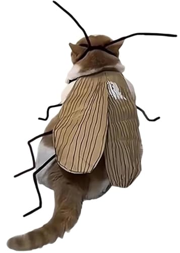 Katzen-Kakerlaken-Kleidung DIY-Kit, Kakerlaken-Kostüm, Katzenkostüm DIY-Kit, Lustiges Katzenkostüm Mit Kakerlakenflügeln Und Antenne, Lustiger Kätzchen-Umhang, Bastelset, Halloween-Party-Dekoration(1p Katzen-Kakerlaken-Kleidung DIY-Kit, Kakerlaken-Kostüm, Katzenkostüm DIY-Kit, Lustiges Katzenkostüm Mit Kakerlakenflügeln Und Antenne, Lustiger Kätzchen-Umhang, Bastelset, Halloween-Party-Dekoration(1p von THUCHENYUC
