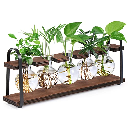 Blumenvase Vintage Deko Vasen Für Tischdeko, Glas Reagenzgläser mit Metallständer Für Blumen Mit Ständer Holz -Pflanze im Glas Propagation Station Für Deko Wohnzimmer Outdoor Taufe Schreibtisch deko Blumenvase Vintage Deko Vasen Für Tischdeko, Glas Reagenzgläser mit Metallständer Für Blumen Mit Ständer Holz -Pflanze im Glas Propagation Station Für Deko Wohnzimmer Outdoor Taufe Schreibtisch deko von THYGIFTREE