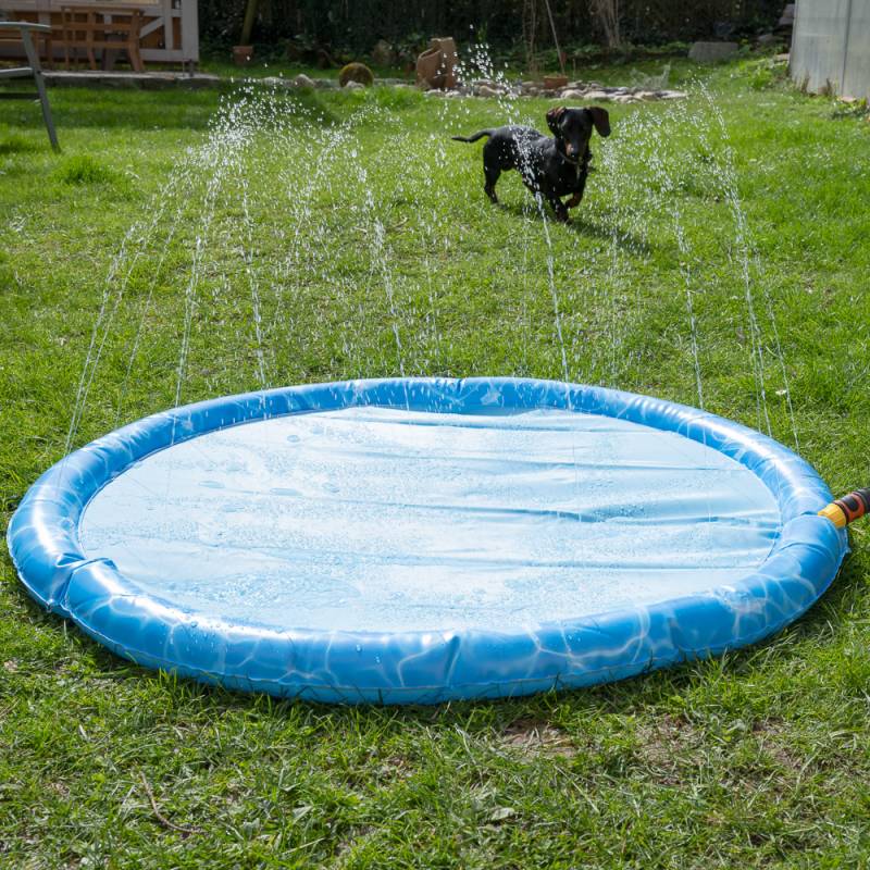 TIAKI Hundepool Splash - Ø 120 cm von TIAKI
