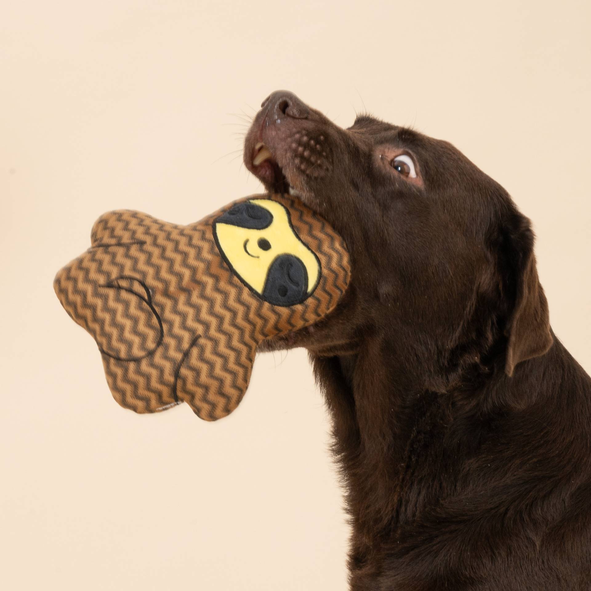 TIAKI Hundespielzeug Faultier - ca. L 19 x B 19 x H 7 cm TIAKI Hundespielzeug Faultier - ca. L 19 x B 19 x H 7 cm von TIAKI