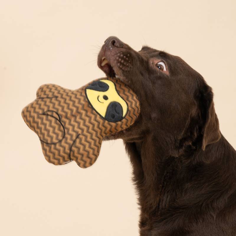 TIAKI Hundespielzeug Faultier - ca. L 19 x B 19 x H 7 cm TIAKI Hundespielzeug Faultier - ca. L 19 x B 19 x H 7 cm von TIAKI