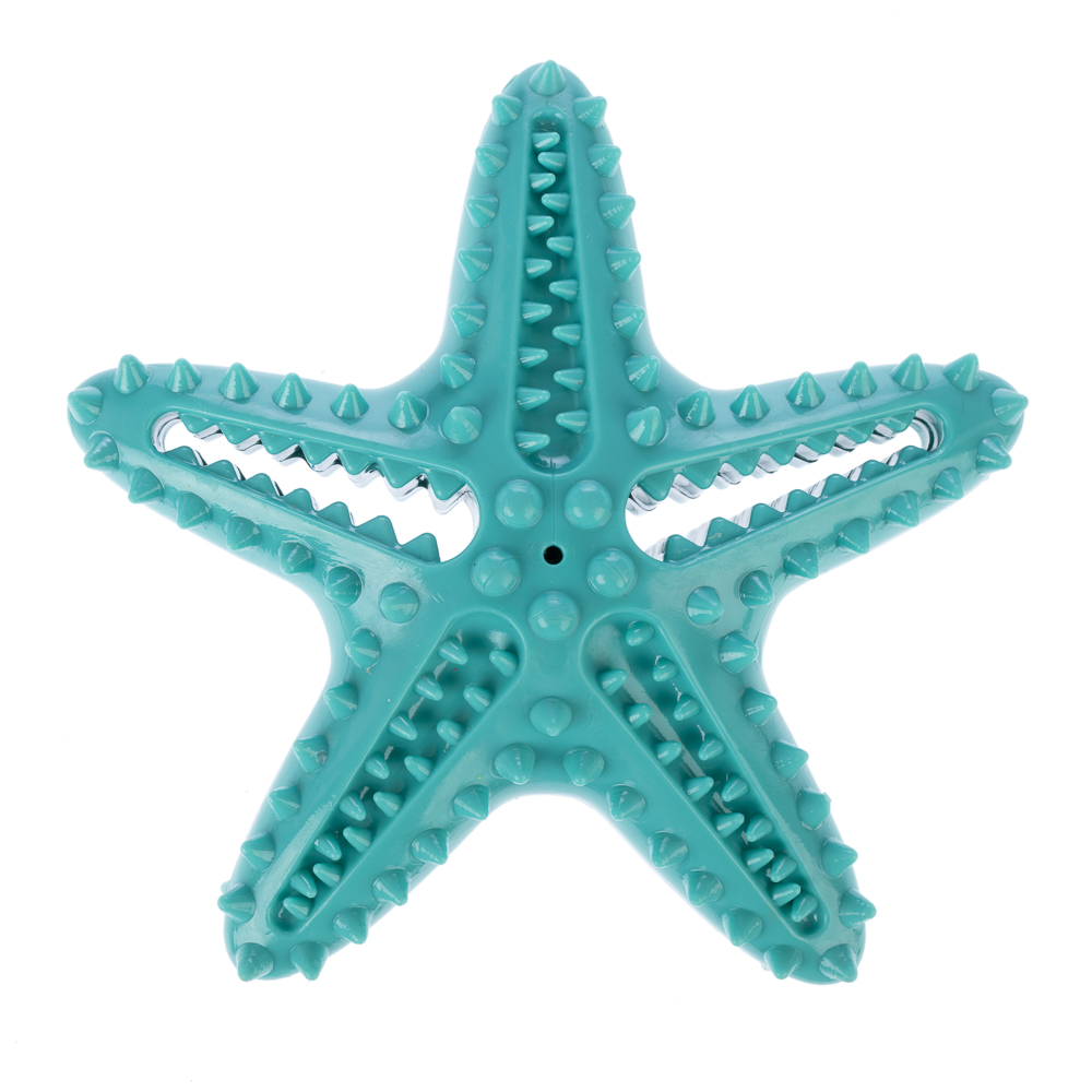 TIAKI Hundespielzeug Seestern - L 15 x B 15 x H 5 cm TIAKI Hundespielzeug Seestern - L 15 x B 15 x H 5 cm von TIAKI