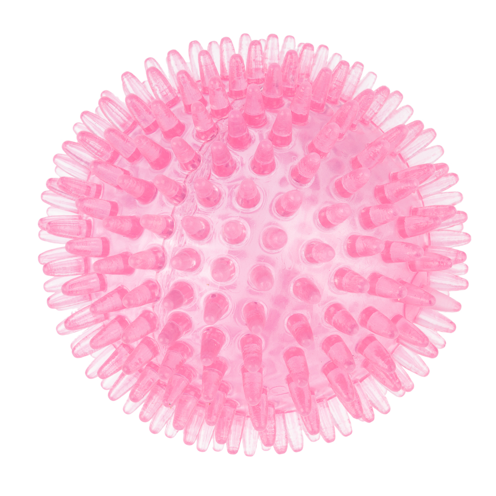 TIAKI Hundespielzeug Stacheliger Ball - Ø 8,3 cm TIAKI Hundespielzeug Stacheliger Ball - Ø 8,3 cm von TIAKI