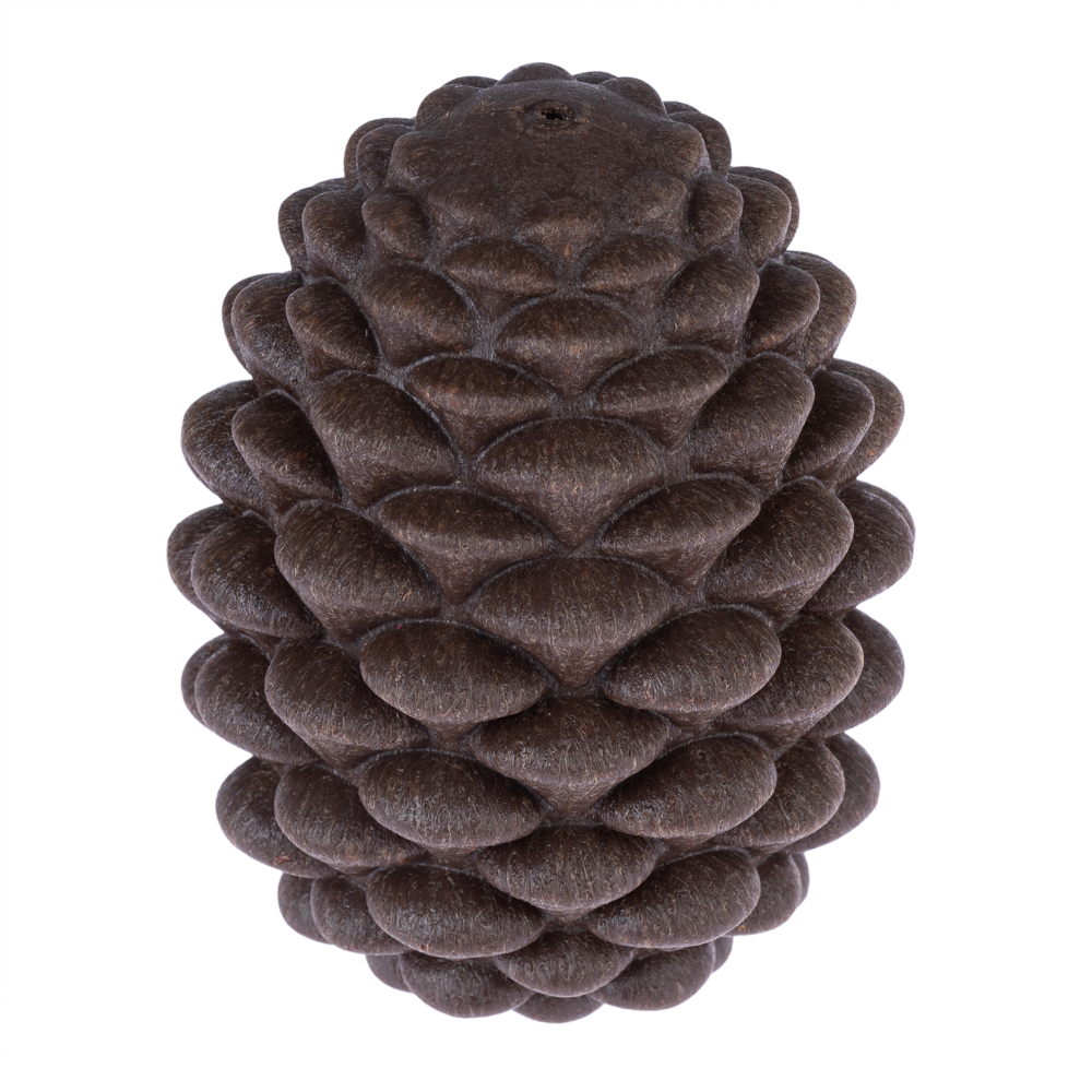 TIAKI Intelligenzspielzeug Kiefernzapfen - L 12 x B 9 x H 9 cm TIAKI Intelligenzspielzeug Kiefernzapfen - L 12 x B 9 x H 9 cm von TIAKI