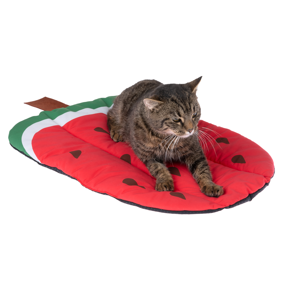 TIAKI Kühlmatte Wassermelone - L 65 x B 40 x H 2 cm TIAKI Kühlmatte Wassermelone - L 65 x B 40 x H 2 cm von TIAKI
