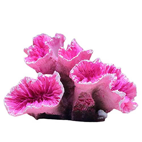 TIANQUXNGI Künstliche Korallenpflanze für Aquarien, Farbornamente, Polyresin, Koralle, Dekoration, Fisch für Dekoration, Kunstharz, Korallenfisch, Haus TIANQUXNGI Künstliche Korallenpflanze für Aquarien, Farbornamente, Polyresin, Koralle, Dekoration, Fisch für Dekoration, Kunstharz, Korallenfisch, Haus von TIANQUXNGI