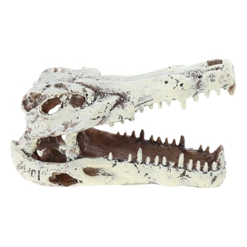 TIANQUXNGI Künstliche Totenkopf-Simulationslandschaft, große Figur, Aquarium, Landschaftsbau, Aquarien TIANQUXNGI Künstliche Totenkopf-Simulationslandschaft, große Figur, Aquarium, Landschaftsbau, Aquarien von TIANQUXNGI