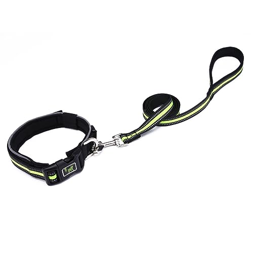 TIANQUXNGI Reflektierendes Katzenhalsband, schmutzabweisend, leicht zu reinigen, für große und kleine Hunde, neues Kätzchen, Haustierzubehör TIANQUXNGI Reflektierendes Katzenhalsband, schmutzabweisend, leicht zu reinigen, für große und kleine Hunde, neues Kätzchen, Haustierzubehör von TIANQUXNGI
