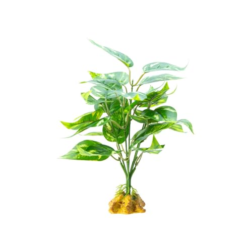 TIANQUXNGI Reptilien, Terrarien, Pflanzen, Reptilien, Aquarien, Ornamente, Kletterruhe, Pflanzenblätter für Amphibien, Eidechsen und Schlangen TIANQUXNGI Reptilien, Terrarien, Pflanzen, Reptilien, Aquarien, Ornamente, Kletterruhe, Pflanzenblätter für Amphibien, Eidechsen und Schlangen von TIANQUXNGI