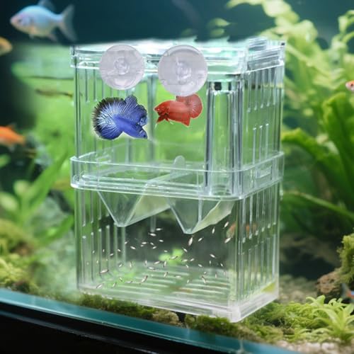 Aquarium Fisch Zuchtbox Transparent Kunststoff Zuchtbox Aquarium Fisch Zuchtbox Transparent Kunststoff Zuchtbox von TIANXUAN
