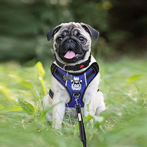 TIANYAO Hundegeschirr, kein Ziehen, Haustierweste-Set, reflektierend, atmungsaktives Haustiergeschirr mit Leine und Halsband für mittelgroße und große Hunde (mittelgroß (Brustumfang 48-63 cm), blau) von TIANYAO