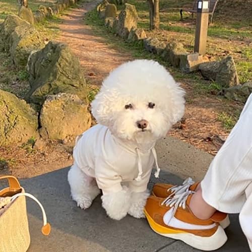 TIANZO Kleiner und mittlerer Hundepullover Haustier-Winterkleidung Pommersche einfarbiger Pullover Schnauzer zweibeinige Kleidung warme Teddy-Kleidung von TIANZO